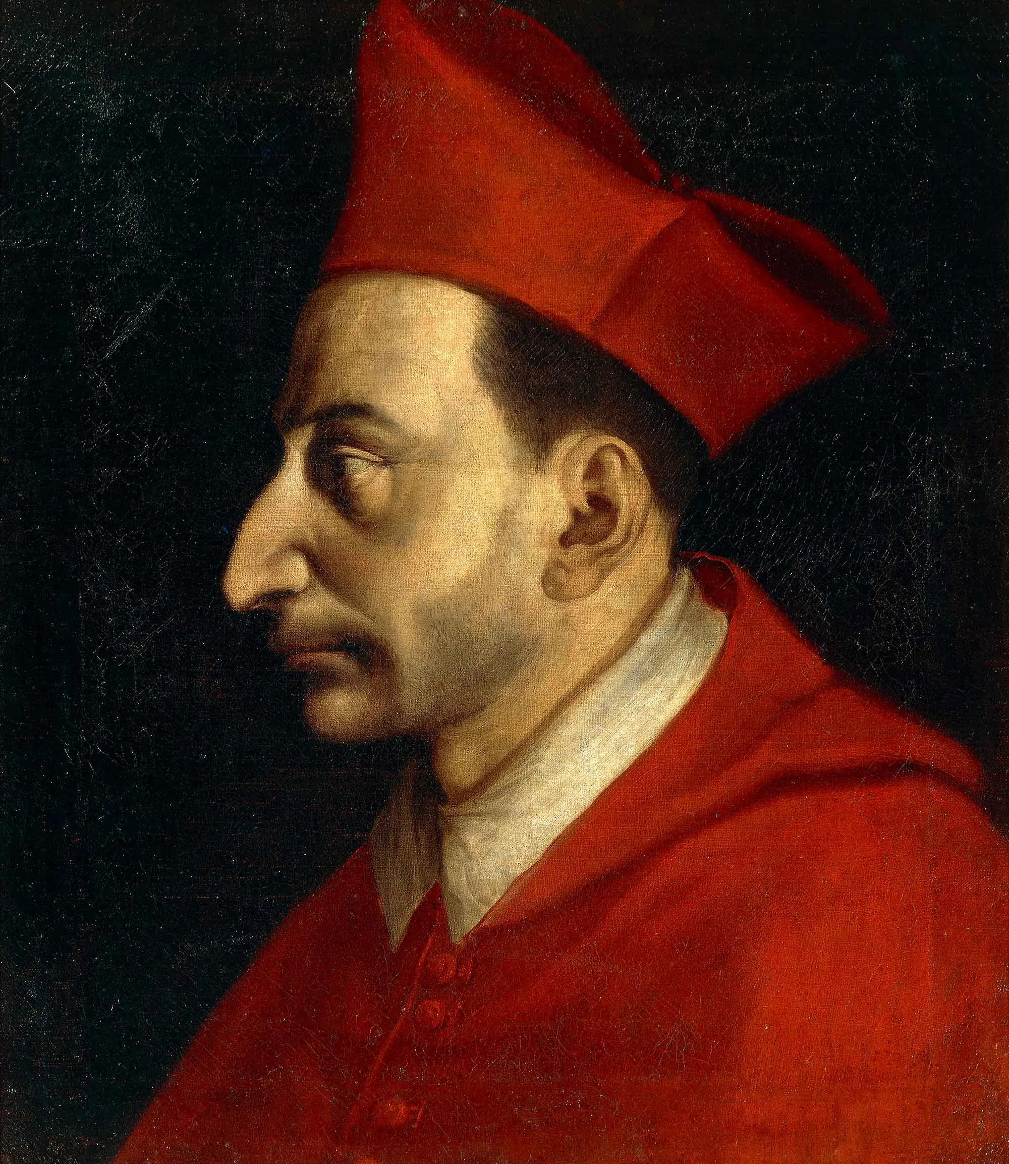 Sv. karlo Boromejski